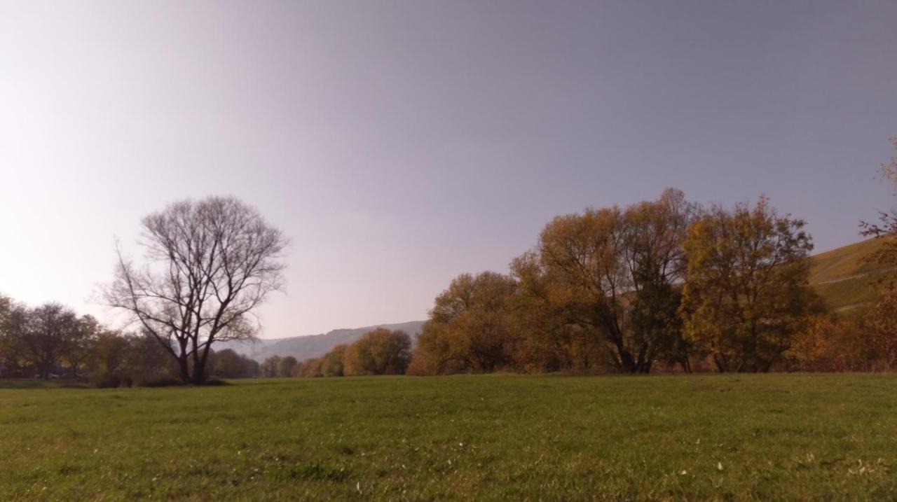 Fewo Sonnenlay - Apartments An Der Mosel เบราเนอแบร์ก ภายนอก รูปภาพ