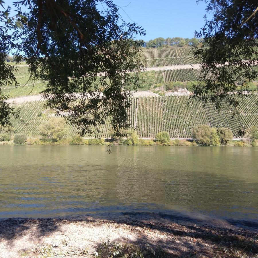 Fewo Sonnenlay - Apartments An Der Mosel เบราเนอแบร์ก ภายนอก รูปภาพ