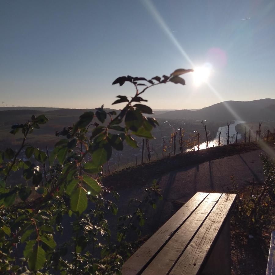 Fewo Sonnenlay - Apartments An Der Mosel เบราเนอแบร์ก ภายนอก รูปภาพ