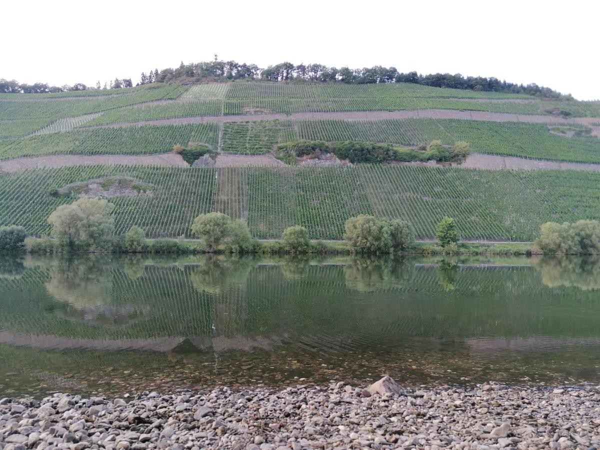 Fewo Sonnenlay - Apartments An Der Mosel เบราเนอแบร์ก ภายนอก รูปภาพ