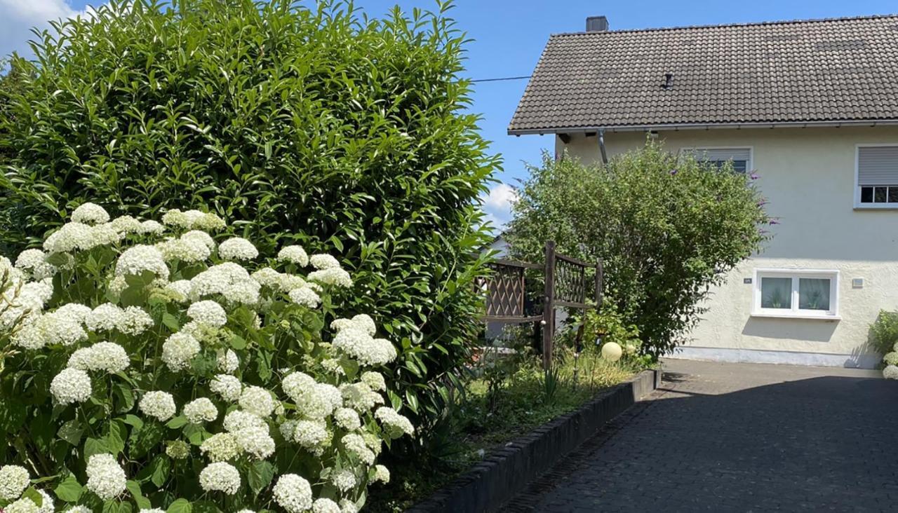Fewo Sonnenlay - Apartments An Der Mosel เบราเนอแบร์ก ภายนอก รูปภาพ